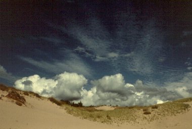 Hamlin Lake Dunes